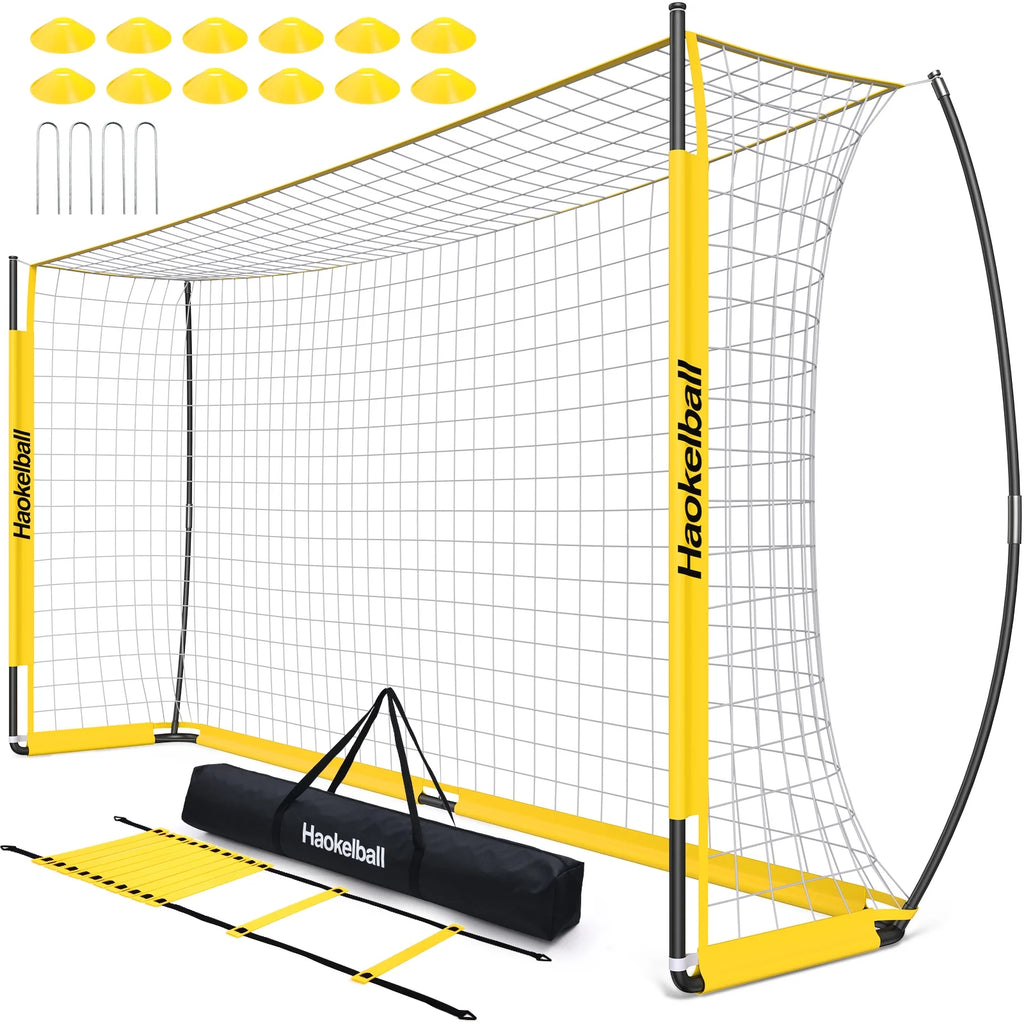 Soccer Goal with Agility Ladder and 12 Cones